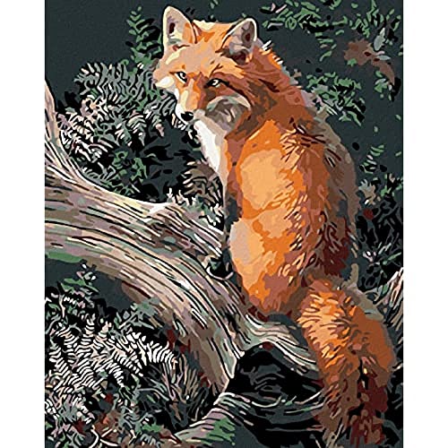 Zuty 9893221, Malen nach Zahlen-Fuchs 40x50 cm mit Keilrahmen (bereits gespannt) von Zuty