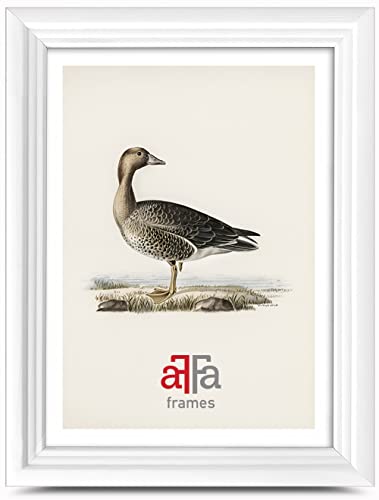 aFFa frames - Retro Bilderrahmen Holz, the frame, holzrahmen für Bilder, Fotos, bilderrahmen 15x20 cm Weiß von aFFa frames