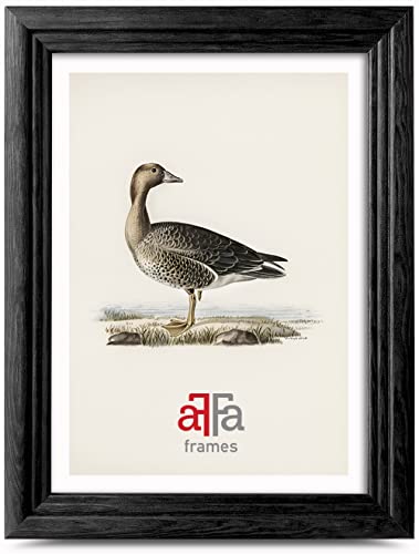 aFFa frames - Retro Bilderrahmen Holz, the frame, holzrahmen für Bilder, Fotos, bilderrahmen 15x21 cm Schwarz von aFFa frames