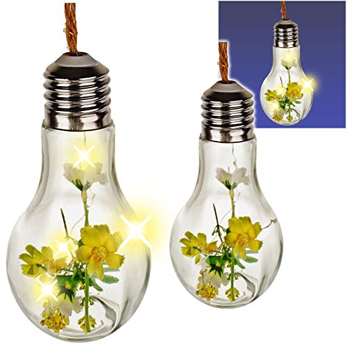 alles-meine.de GmbH 2 Stück LICHT Dekogläser - Glas Glühbirnen - Lichterketten - je 5 Stück LED - Blumen & Blüten - grün weiß - zum Hängen/Aufhängen - 38 cm groß - Pflanzen -.. von alles-meine.de GmbH