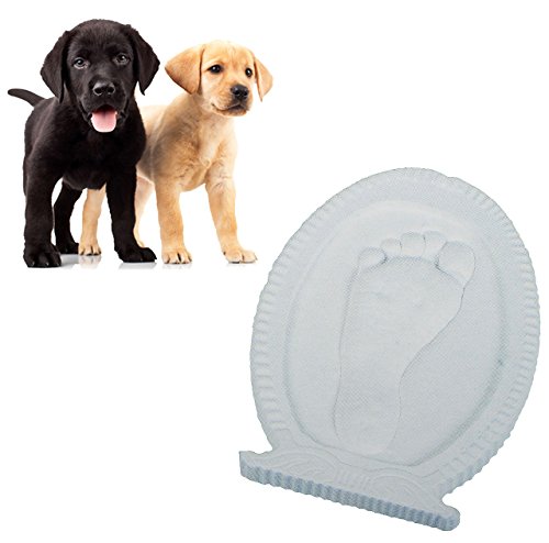 alles-meine.de GmbH 3-D Bastelset - Pfotenabdruck - z.B. für Katze und Hunde - incl. Farben & Pinsel - Ton gießen Gipsformen/Gips Tier Tiere - Abdruckset von alles-meine.de GmbH