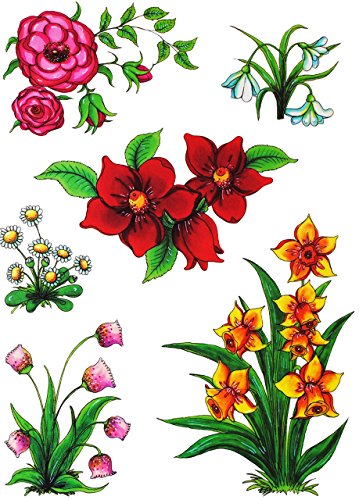 alles-meine.de GmbH 6 TLG. Set Fensterbilder - Pflanzen & Blumen - statisch haftend - selbstklebend + wiederverwendbar/Ostern & Frühling/Sommer - Sticker Fenstersticker.. von alles-meine.de GmbH