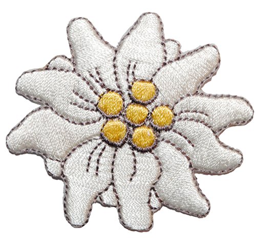 alles-meine.de GmbH Edelweiß - 4,1 cm * 3,8 cm - Bügelbild/Blume Blüte - Aufnäher Applikation/Aufbügler Aufbügelflicken - Trachten Trachtenblume - Alpen Bayern - Alpenblume /.. von alles-meine.de GmbH