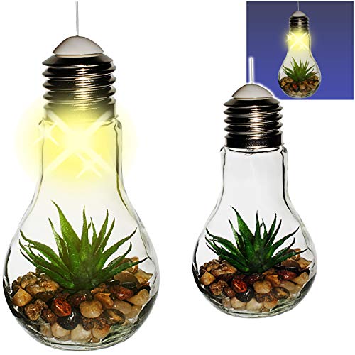 alles-meine.de GmbH LICHT Dekoglas - Glas Glühbirne - Lichterkette - LED - Blumen & Blüten - Sukkulente Aloe Vera - zum Hängen/Aufhängen - 68 cm groß - Pflanzen - Lichtflasche .. von alles-meine.de GmbH