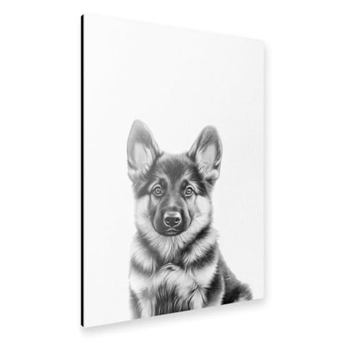 artboxONE Alu-Print 60x40 cm Felix Schäferhund Welpe B&W von Künstler Carina von artboxONE