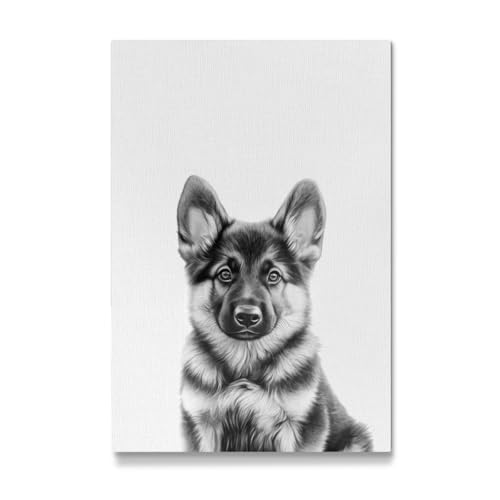 artboxONE Galerie-Print 60x40 cm Felix Schäferhund Welpe B&W hochwertiges Acrylglas auf Alu-Dibond von Carina von artboxONE