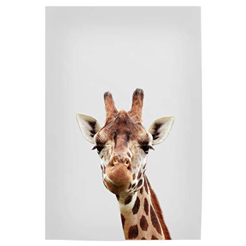 artboxONE Poster 60x40 cm Für Kinder Giraffe - African Animal - Bild Giraffe von artboxONE