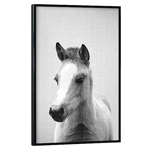 artboxONE Poster mit schwarzem Rahmen 45x30 cm Pferde Natur Baby Horse - Black & White - Bild Animal Animals Baby von artboxONE