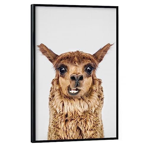 artboxONE Poster mit schwarzem Rahmen 90x60 cm Lama & Alpaka Tiere Happy Llama - Bild Llama Llama Portrait von artboxONE