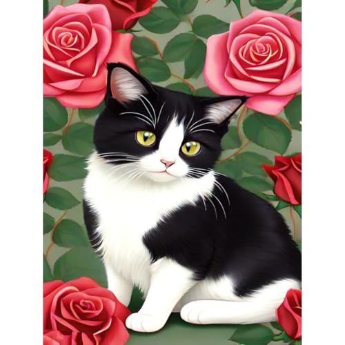 askkqtx Diamond Painting Erwachsene,Katze 5D DIY Full Drill Diamant Painting Bilder Erwachsene,Roses Flowers Cat Diamond Art Bilder Tiere Diamant Malerei Set für Wand Dekoration 30X40 CM von askkqtx