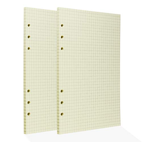 A5 Nachfüllbar Notizpapier Nachfüllpapier 6 Loch Notizbuch Refill 120 Blatt / 240 Seiten Karierte Notizblöcke Tagebuch Nachfülleinlagen Papier Beige (Binder mit 6 Löcher) von aufodara