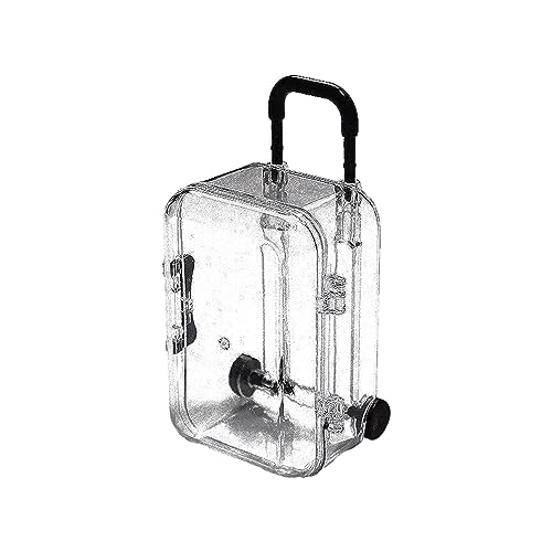 Ohrringbox, Schmuckkästchen, transparentes Schmuckkästchen, leichtes ABS-Material, 80 g, tragbarer Organizer in Form eines Wagens, Schmuckschatulle für Reisen, moderne Schmuckaufbewahrung mit von bellv