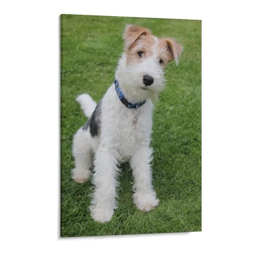 blobo DIY 5D Diamond Painting Cross Stitch，Foxterrier Hund，Full Round Drill Arts Diamond Embroidery Home Decoration Gift（30x40cm）-220 von blobo