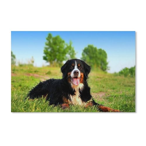 blobo Full Round 5D Diamond Painting,Schweizer Berner Sennenhund auf nassem Gras,Wall Picture Diamond Embroidery, Cross Stitch, Mosaic, Sticker, Home Deco（40x40cm）-C15 von blobo