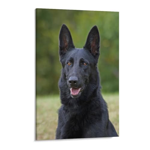 blobo Schwarzer Deutscher Schäferhund，DIY 5D Diamond Painting Kits für Erwachsene, Strass-Kristall-Stickerei-Kunst für Zuhause, Wanddekoration（50x50cm）-279 von blobo