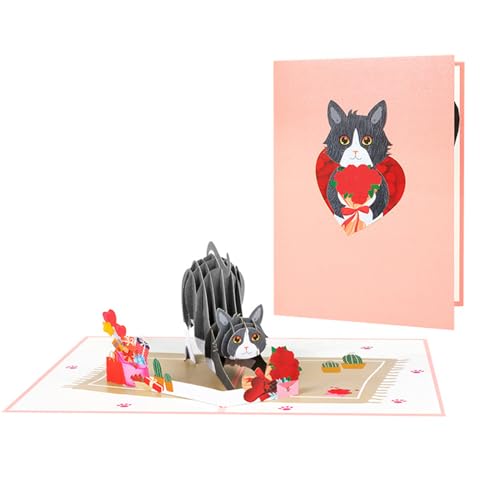 bnsggl Papierkarten Schöne Geburtstagsgrußkarte Katzenmotiv Eine Katzenliebhaber Geburtstagskarte von bnsggl