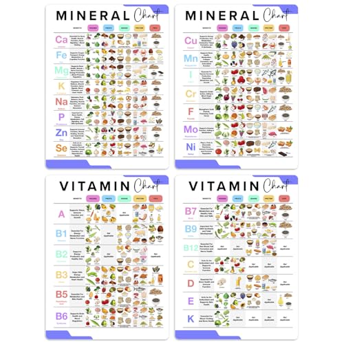 bqw Vitamin and Mineral Poster Gesunde Lebensmittel, 4 Stück, 27,9 x 43,2 cm, Lebensmittelproteintafel, ungerahmt von bqw