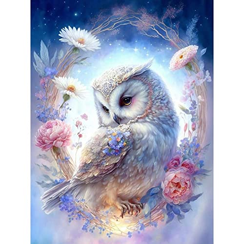 cdsnxore DIY Diamond Painting, Diamond Art Painting Owl Kits for Adults Embroidery Pictures Arts Crafts for Beginner Home Wall Decor 30 × 40 cm (White) von cdsnxore