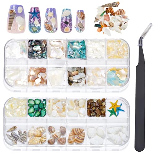 craspire 2 Schachtel Natürliche Ozean Nagelkunst Strasssteine Charms Zubehör Set 3D Sommerstrand Muschel Seestern Pinzette Abalone Nagelflocken Nieten Edelsteine Unregelmäßige Scheiben Stein von craspire