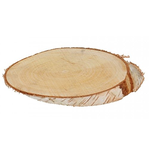 creative with nature Ovale Birkenscheibe Birch Slice - 12-18 cm - Holzscheibe - Baumscheibe von creative with nature