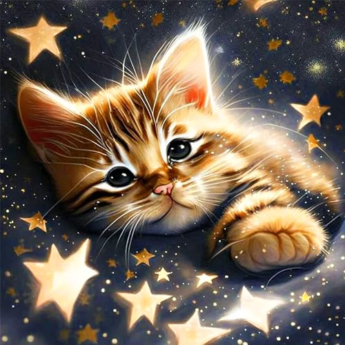 croshom DIY 5D Cat diamond painting Kit, diamond painting erwachsene,DIY Diamond Painting Kits für die Katze 35x35cm für Wanddekoration von croshom