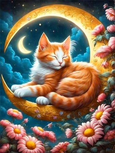 croshom Katzen Diamond Painting Erwachsene 30x40 cm Diamant Painting Bilder Süße Katze, Diamant Painting Katze und der Mond, Home Wall Decor 30x40cm… von croshom