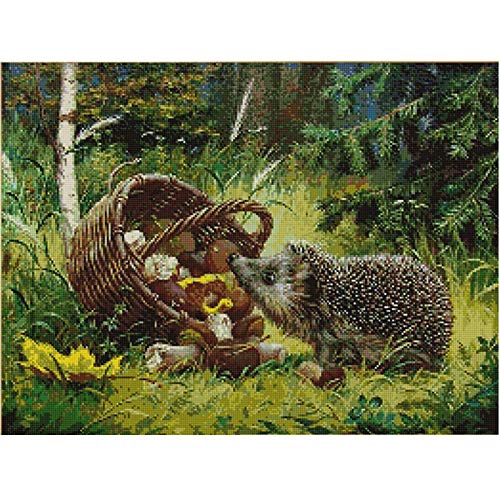 Cukol Kreuzstich Set Vorgedruckt Erwachsene Igel, Stickvorlagen Stickbilder Vorgedruckt Kreuzstich Stickpackungen Stickpackung Stickbild Stickset Sticken Set Cross Stitch Kit 36 x 46 cm von cukol cukol