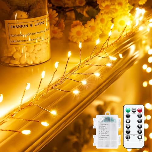 cuzile Fee Feuerwerkskörper Lichter batteriebetrieben,3M 100 LEDs funkeln String Lichter mit Fernbedienung, Sternenlichter für DIY Kranz Hochzeit Party Schlafzimmer Maurer Glas Urlaub Weihnachten von cuzile