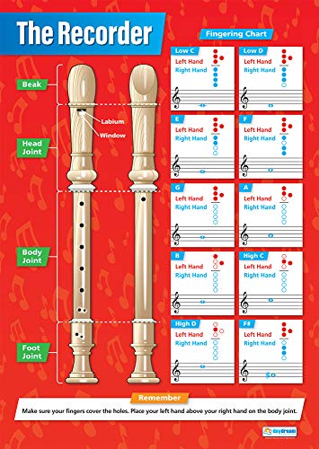 Daydream Education: Die Blockflöte, Musikposter, laminiertes Glanzpapier, 850 x 594 mm (A1), Musikposter für das Klassenzimmer, Bildungsposter (englische Version) von Daydream Education