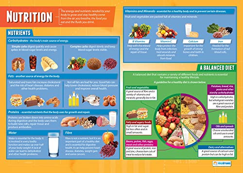 Daydream Education PSE-Poster „Nutrition“ (englische Version), glänzend, 850 mm x 594 mm (A1), PSE-Klassenzimmer-Poster, Bildungstabellen von Daydream Education