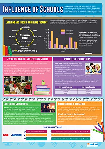 Poster "Influence of Schools", laminiertes Glanzpapier, 850 x 594 mm (A1), Lernposter (evtl. nicht in deutscher Sprache) Daydream Education von Daydream Education