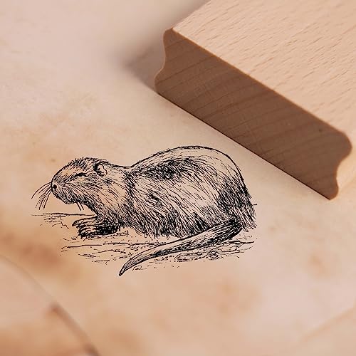 Motivstempel Nutria - Biberratte Stempel Holzstempel Tierstempel 48 x 28 mm von dekolando