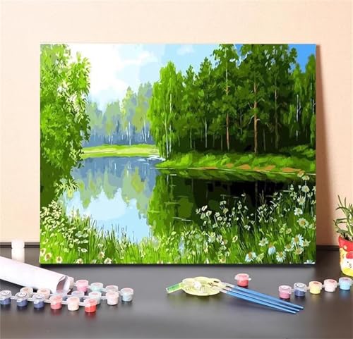 Baumlandschaft Malen Nach Zahlen Erwachsene,DIY Framed DIY Handgemalt Ölgemälde Leinwand Kits Mit Pinsels und Acrylfarbe Als Geschenke und Heimdekoration 60x75cm von ditlvy