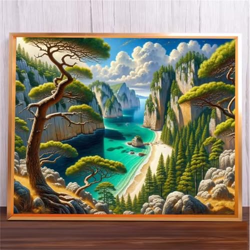 Blick aufs Meer Malen Nach Zahlen Erwachsene,DIY Framed DIY Handgemalt Ölgemälde Leinwand Kits Mit Pinsels und Acrylfarbe Als Geschenke und Heimdekoration 60x75cm von ditlvy