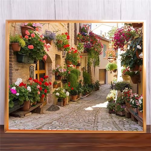 Blumenstraße Malen Nach Zahlen Erwachsene,DIY Framed DIY Handgemalt Ölgemälde Leinwand Kits Mit Pinsels und Acrylfarbe Als Geschenke und Heimdekoration 50x65cm von ditlvy