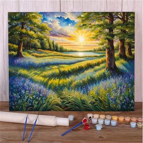 Graslandschaft Malen Nach Zahlen Erwachsene,DIY Framed DIY Handgemalt Ölgemälde Leinwand Kits Mit Pinsels und Acrylfarbe Als Geschenke und Heimdekoration 40x50cm von ditlvy