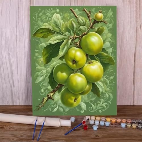 Grüner Apfel Malen Nach Zahlen Erwachsene,Without Framed DIY Handgemalt Ölgemälde Leinwand Kits Mit Pinsels und Acrylfarbe Als Geschenke und Heimdekoration 55x70cm von ditlvy