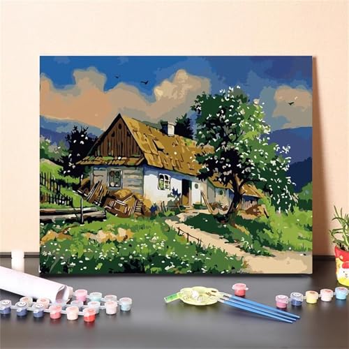 Haus Malen Nach Zahlen Erwachsene,Without Framed DIY Handgemalt Ölgemälde Leinwand Kits Mit Pinsels und Acrylfarbe Als Geschenke und Heimdekoration 40x50cm von ditlvy