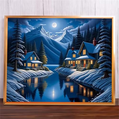 Haussee Malen Nach Zahlen Erwachsene,Without Framed DIY Handgemalt Ölgemälde Leinwand Kits Mit Pinsels und Acrylfarbe Als Geschenke und Heimdekoration 60x75cm von ditlvy