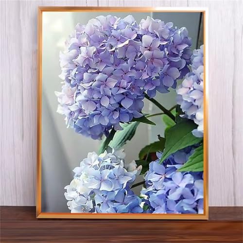 Hortensie Malen Nach Zahlen Erwachsene,Without Framed DIY Handgemalt Ölgemälde Leinwand Kits Mit Pinsels und Acrylfarbe Als Geschenke und Heimdekoration 60x75cm von ditlvy