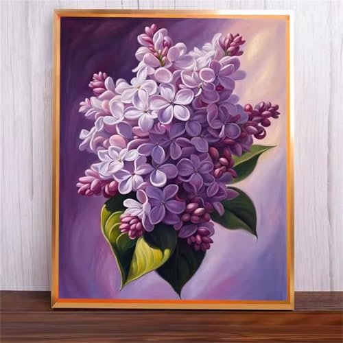 Lila Blumen Malen Nach Zahlen Erwachsene,DIY Framed DIY Handgemalt Ölgemälde Leinwand Kits Mit Pinsels und Acrylfarbe Als Geschenke und Heimdekoration 55x70cm von ditlvy