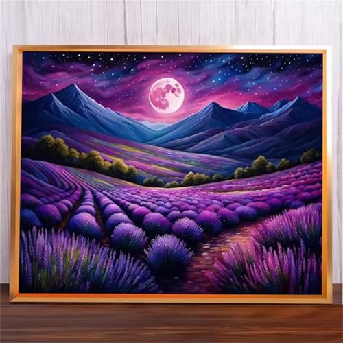 Lila Blumenmond Malen Nach Zahlen Erwachsene,DIY Framed DIY Handgemalt Ölgemälde Leinwand Kits Mit Pinsels und Acrylfarbe Als Geschenke und Heimdekoration 55x70cm von ditlvy