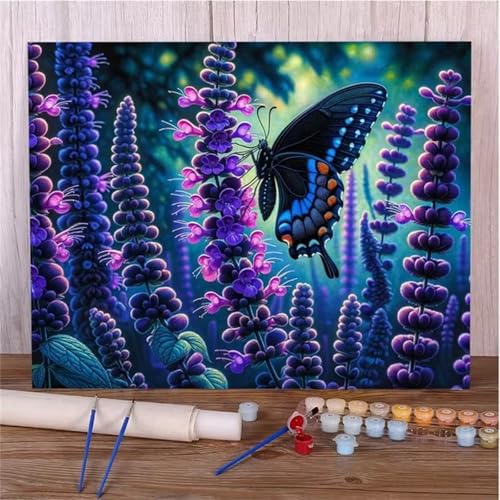 Lila Blumenschmetterling Malen Nach Zahlen Erwachsene,DIY Framed DIY Handgemalt Ölgemälde Leinwand Kits Mit Pinsels und Acrylfarbe Als Geschenke und Heimdekoration 30x40cm von ditlvy