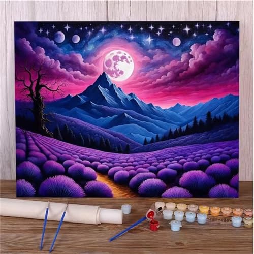 Lila Landschaft Malen Nach Zahlen Erwachsene,DIY Framed DIY Handgemalt Ölgemälde Leinwand Kits Mit Pinsels und Acrylfarbe Als Geschenke und Heimdekoration 30x40cm von ditlvy