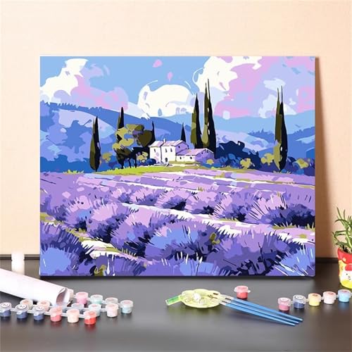 Lila Landschaft Malen Nach Zahlen Erwachsene,DIY Framed DIY Handgemalt Ölgemälde Leinwand Kits Mit Pinsels und Acrylfarbe Als Geschenke und Heimdekoration 50x65cm von ditlvy