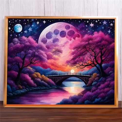 Lila Mond Malen Nach Zahlen Erwachsene,DIY Framed DIY Handgemalt Ölgemälde Leinwand Kits Mit Pinsels und Acrylfarbe Als Geschenke und Heimdekoration 30x40cm von ditlvy