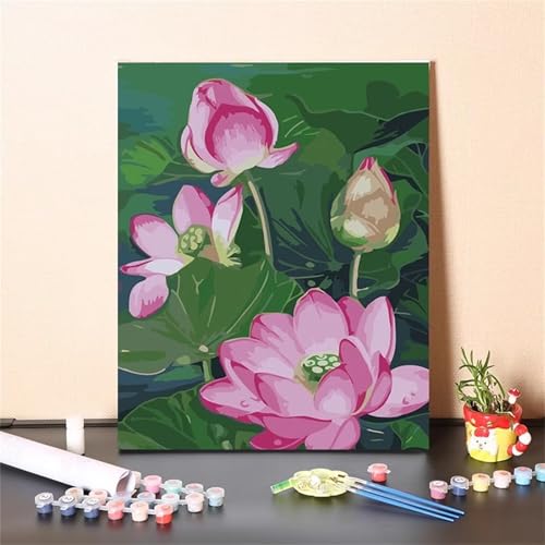 Lotosblume Malen Nach Zahlen Erwachsene,DIY Framed DIY Handgemalt Ölgemälde Leinwand Kits Mit Pinsels und Acrylfarbe Als Geschenke und Heimdekoration 50x65cm von ditlvy