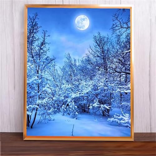 Mond-Schnee-Ansicht Malen Nach Zahlen Erwachsene,DIY Framed DIY Handgemalt Ölgemälde Leinwand Kits Mit Pinsels und Acrylfarbe Als Geschenke und Heimdekoration 45x60cm von ditlvy