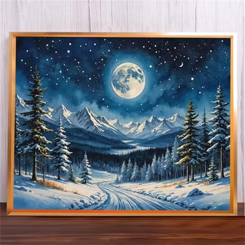 Mond verschneite Landschaft Malen Nach Zahlen Erwachsene,DIY Framed DIY Handgemalt Ölgemälde Leinwand Kits Mit Pinsels und Acrylfarbe Als Geschenke und Heimdekoration 30x40cm von ditlvy