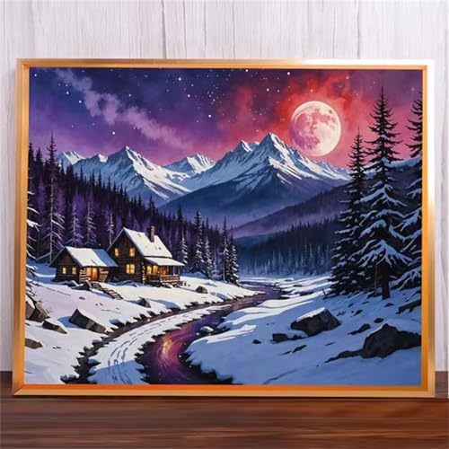 Mondschnee Malen Nach Zahlen Erwachsene,DIY Framed DIY Handgemalt Ölgemälde Leinwand Kits Mit Pinsels und Acrylfarbe Als Geschenke und Heimdekoration 40x50cm von ditlvy